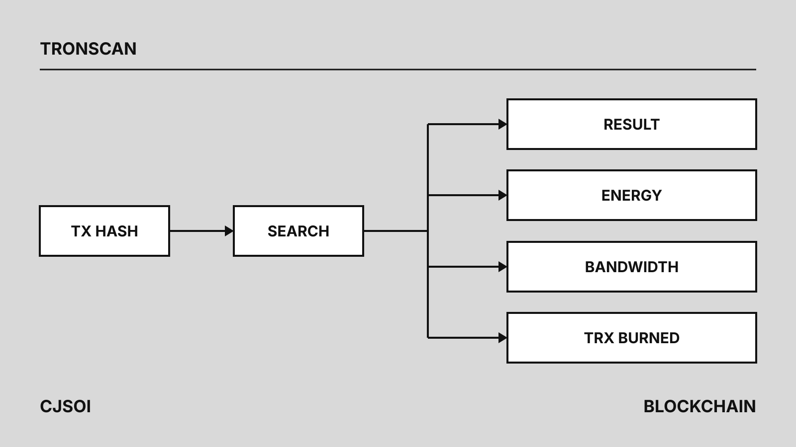 Line diagram: a TX HASH box leads to SEARCH, which branches into four boxes labeled RESULT, ENERGY, BANDWIDTH and TRX BURNED, under a TRONSCAN label.